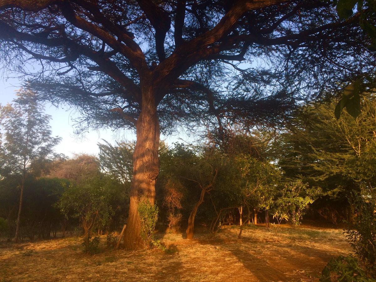 Amboseli Eco Camp 빌라 외부 사진
